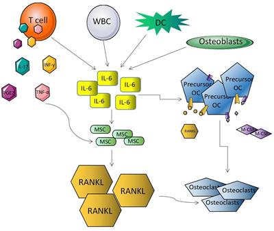 The molecular mechanism of Gorham syndrome: an update